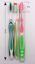 Adult Toothbrush 3 pck